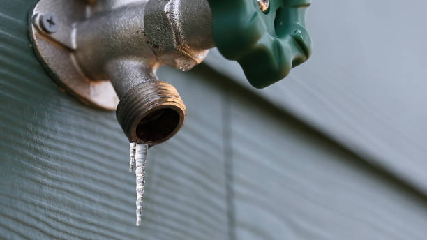 Best Local Plumber Services  in Lipscom, AL